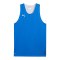 PUMA Teamjaws Reversible Trikot Blau F07 - blau