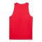 PUMA Teamjaws Reversible Trikot Rot F03 - rot