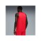 PUMA Teamjaws Reversible Trikot Rot F03 - rot