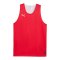 PUMA Teamjaws Reversible Trikot Rot F03 - rot