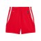 PUMA teamJAWS Starter Short Damen Rot F04 - rot