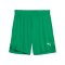 PUMA Teamjaws Starter Short Grün F10 - gruen
