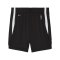 PUMA Teamjaws Starter Short Kids Schwarz F01 - schwarz