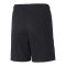 PUMA teamLIGA 2 Short Kids Schwarz F46 - schwarz