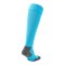 PUMA teamLIGA Core Stutzenstrumpf Blau F40 - blau