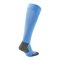 PUMA teamLIGA Core Stutzenstrumpf Blau F50 - blau