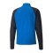 PUMA teamLIGA HalfZip Sweatshirt Blau F02 - blau