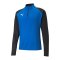 PUMA teamLIGA HalfZip Sweatshirt Blau F02 - blau