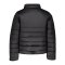 PUMA teamLIGA Padded Jacke Kids 2 Schwarz F03 - schwarz