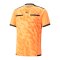 PUMA teamLIGA Schiedsrichter Trikot Orange F21 - orange