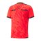 PUMA teamLIGA Schiedsrichter Trikot Rot F19 - schwarz