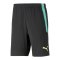 PUMA teamLIGA Short 2 Schwarz F51 - schwarz