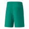 PUMA teamLIGA Short Grün Weiss F05 - gruen