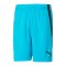 PUMA teamLIGA Short Kids Blau Schwarz F40 - blau