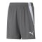 PUMA teamLIGA Short Kids Grau Weiss F13 - grau