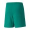 PUMA teamLIGA Short Kids Grün Weiss F05 - gruen