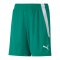 PUMA teamLIGA Short Kids Grün Weiss F05 - gruen
