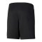 PUMA teamLIGA Short Kids Schwarz Weiss F03 - schwarz