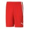 PUMA teamLiga Short Rot F01 - rot