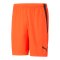PUMA teamLIGA Short Rot Schwarz F45 - rot