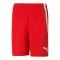 PUMA teamLIGA Short Rot Weiss F01 - rot