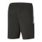 PUMA teamLIGA Short Schwarz Rot F41 - schwarz
