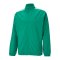 PUMA teamLIGA Sideline Jacke Grün Weiss F05 - gruen