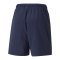PUMA teamLIGA Sideline Shorts Blau F06 - blau