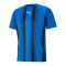 PUMA teamLIGA Striped Trikot Blau Schwarz F02 - blau