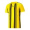 PUMA teamLIGA Striped Trikot Gelb Schwarz F07 - gelb
