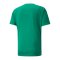 PUMA teamLIGA Striped Trikot Grün Schwarz F05 - gruen