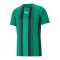 PUMA teamLIGA Striped Trikot Grün Schwarz F05 - gruen
