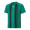 PUMA teamLIGA Striped Trikot Kids Grün Schwarz F05 - gruen