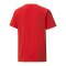 PUMA teamLIGA Striped Trikot Kids Rot Schwarz F01 - rot
