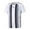 PUMA teamLIGA Striped Trikot Kids Weiss F04 - weiss