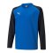 PUMA teamLIGA Sweatshirt Kids Blau F02 - blau
