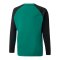 PUMA teamLIGA Sweatshirt Kids Grün F05 - gruen