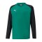 PUMA teamLIGA Sweatshirt Kids Grün F05 - gruen