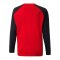 PUMA teamLIGA Sweatshirt Kids Rot F01 - rot