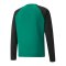PUMA teamLIGA Trainig Sweatshirt Grün Schwarz F05 - gruen
