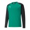 PUMA teamLIGA Trainig Sweatshirt Grün Schwarz F05 - gruen