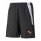 PUMA teamLIGA 2 Instinct Short Kids Schwarz F45 - schwarz