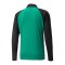PUMA teamLIGA Trainingsjacke Kids Grün Schwarz F05 - gruen