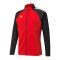 PUMA teamLIGA Trainingsjacke Kids Rot Schwarz F01 - rot