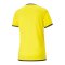 PUMA teamLIGA Trikot Damen Gelb F07 - gelb