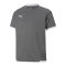 PUMA teamLIGA Trikot Kids Grau F13 - grau