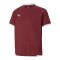 PUMA teamLIGA Trikot Kids Rot F09 - rot