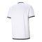 PUMA teamLIGA Trikot Weiss F04 - weiss