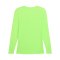 PUMA teamLIGA26 Baselayer LS T-Shirt Grün F20 - gruen