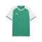 PUMA teamLIGA26 Matchday Trikot Grün F05 - gruen